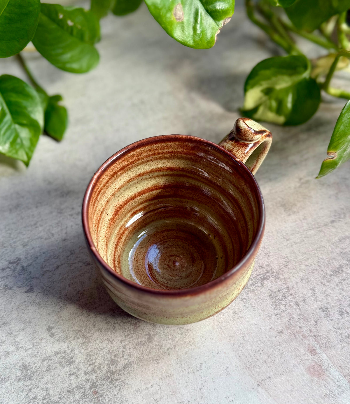 Toasted Pistachio Mug
