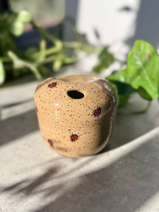 Little Lady Bug Mini Sip Top